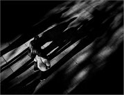 Brian Marcer - Walking with Shadows